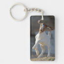 Search for goat key rings Usa