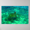 Search for 36 x 24 posters Beach