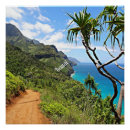 Search for kauai posters Tropical