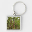 Search for muir woods key rings Forest