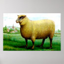 Search for sheep painting posters Animal
