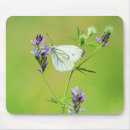 Search for vein mouse mats Nature