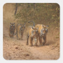 Search for wild cat stickers Panthera