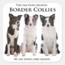 Search for smiling dog stickers Collie