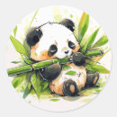 Search for adorable pandas stickers Bear