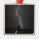 Search for storm christmas tree decorations Outdoors