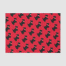 Search for scottish tartan tissue paper Black