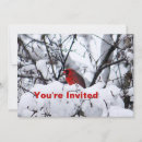 Search for cardinal bird invitations Wildlife