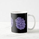 Search for staph Mrsa