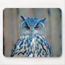 Search for raptor electronics Blue