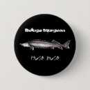 Search for beluga accessories Fish