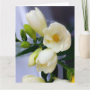 Search for freesias cards White