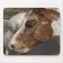Search for rescue pet electronics Charity