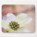 Search for spring bud mouse mats Colourful