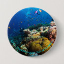 Search for scuba badges Fish