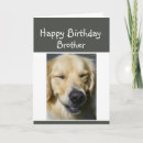Search for older brother birthday cards For him