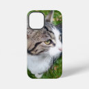 Search for your image here iphone cases Picture