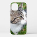 Search for your image here iphone cases Picture