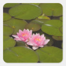 Search for botany stickers Bloom