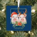 Search for pig christmas tree decorations Santa