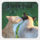 Search for cat lover stickers Kitty