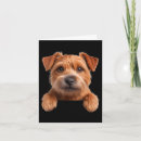 Search for norfolk cards Cute