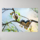 Search for wildlife photography posters Cute