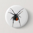 Search for spiders badges Black