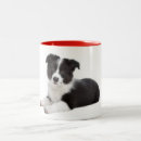 Search for border collie puppy mugs Puppies
