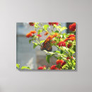 Search for bush canvas prints Floral