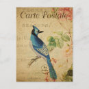 Search for blue jay postcards Vintage