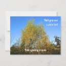 Search for colored leaf postcards Fall