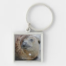 Search for seals key rings Animals