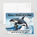 Search for whales postcards Marine mammals