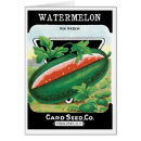 Search for watermelon cards Vintage