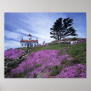 Search for jamie art Pacific northwest