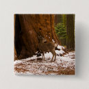 Search for mules badges Animals