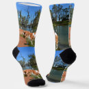 Search for spaniel socks Pet