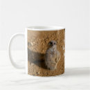 Search for mongoose mugs Meerkats