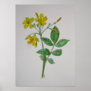 Search for jasmine flowers art Yellow