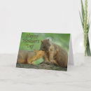 Search for squirrel cards Sweet