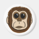 Search for funny chimp magnets Primate