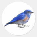 Search for bluebirds stickers Vintage