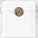 Search for australian kangaroo stickers Funny