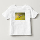 Search for young bird tshirts Female