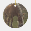 Search for equine christmas tree decorations Snow