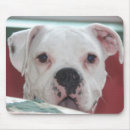 Search for bully mouse mats Pad