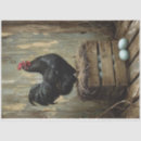 Search for poultry gift wrap Chicken