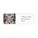 Search for big cat return address labels White tiger