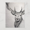 Search for pencil horizontal postcards White